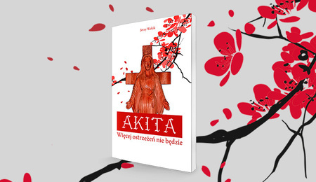 ilustracja-portal-akita.jpg
