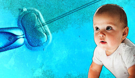 in-vitro-demografia_portal.jpg