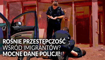 imigranci_przestepczosc.jpg