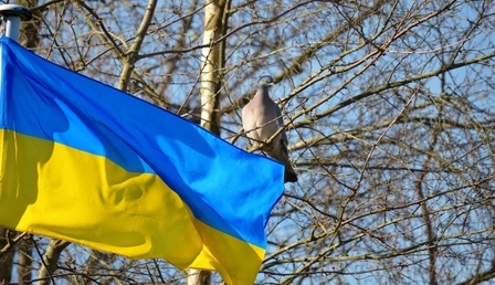 ukraine-g815b76e98_1280.jpg