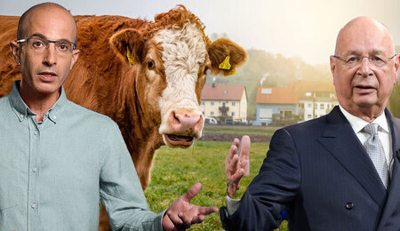Harari-Schwab-Davos_portal.jpg