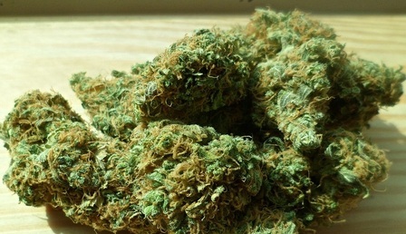 Marihuana.jpg