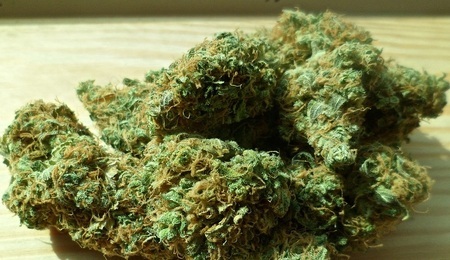 Marihuana.jpg