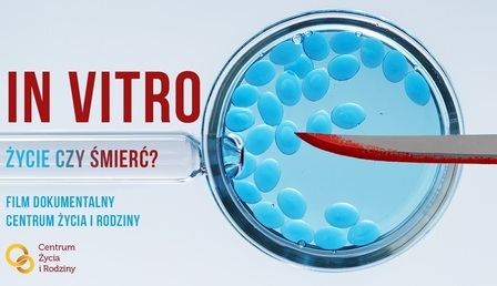 In-vitro-grafika2-002.jpg