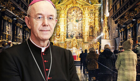 Schneider-apel-Feduccia2.jpg