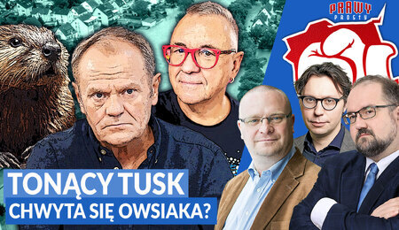 prawy-prosty_Warzecha-Karpiel-Wos-Tusk-Owsiak.jpg