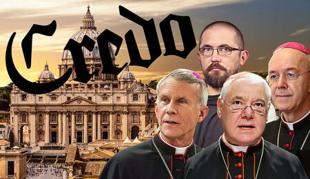 Credo-portal-6.jpg