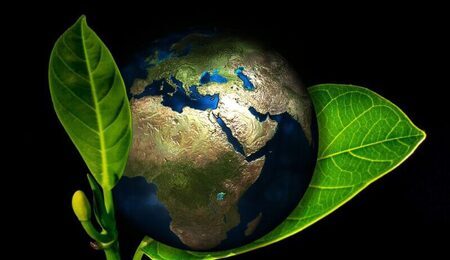 earth-405096_1280-e1728919946568.jpg