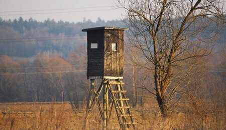 tree-winter-wood-house-morning-tower-756245-pxhere.com_-scaled-e1731754523313.jpg