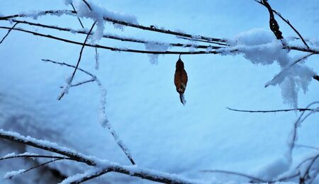 snow-3902524_1280-e1732970341531.jpg