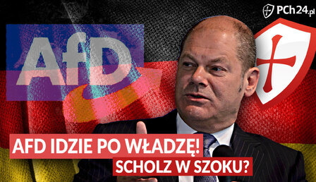 afd-vs-scholz.jpg