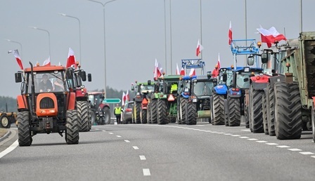 roln-2.jpg