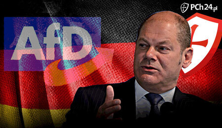 afd-vs-scholz-portal.jpg