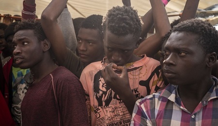 migranci.jpg