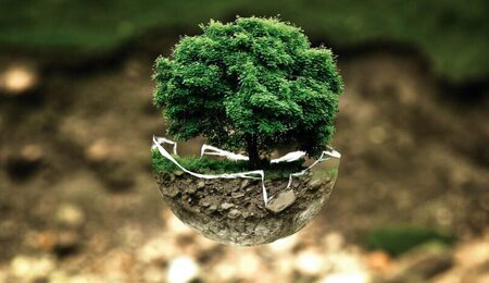 environmental-protection-683437_1280-e1713962968737.jpg