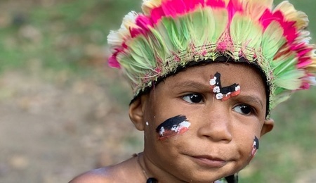 papua-new-guinea-4380817_1280.jpg