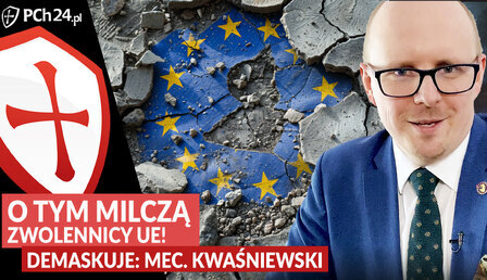 zwolennicy-EU-Kwasniewski-Austyn.jpg