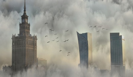 mati-3131158_1280.jpg