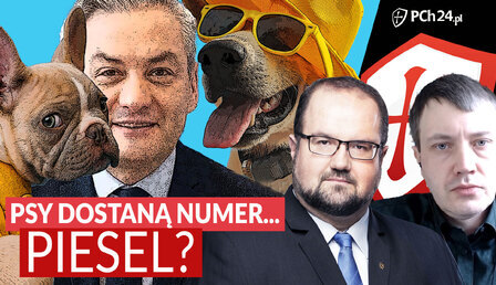 Karpiel_Peziol_piesko.jpg