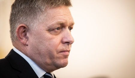 fico.jpg