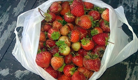 strawberries-1266276_1280.jpg