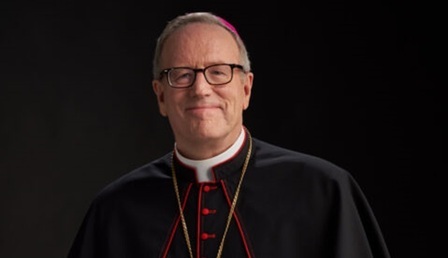 Bishop_Barron3603-480x720-1.jpg