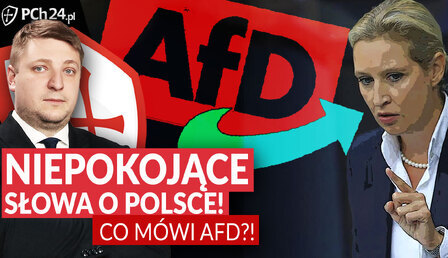 Chmielewski-SZOK-AFD-o-Polsce.jpg