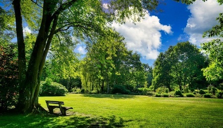 park-pixa-fietzfotos.jpg