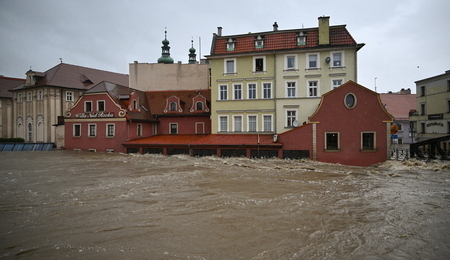 mid-24915071-2.jpg