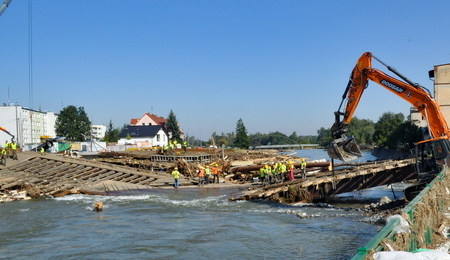 mid-24920619-2.jpg
