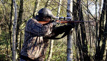hunter-3781224_1280-e1726117024775.jpg