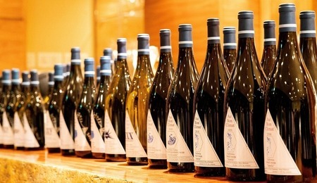 red-wine-3589988_1280-2.jpg