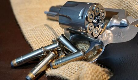 colt-5102475_1280-1-e1765872338885.jpg
