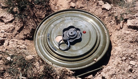 mina-3-29io.jpg