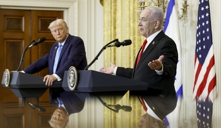 bibi.jpg
