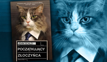 poczatkujacy-zloczynca.jpg