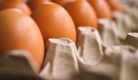 egg-7345934_1280-e1741965598131.jpg