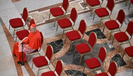 cardinal.jpg