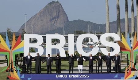 brics-25.jpg