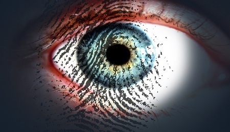 eye-319668_1280.jpg