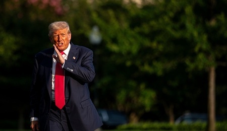 donald.jpg