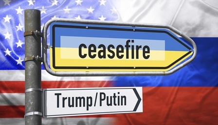 cesafire.jpg