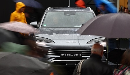 BYD12.jpg