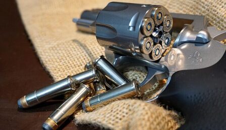colt-5102475_1280-e1756714086637.jpg
