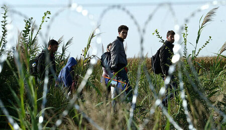 Migrants_in_Hungary_2015_Aug_015-e1769758316513.jpg