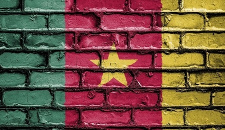 Kamerun_flaga.jpg