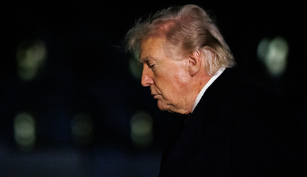 TRUMPIS.png