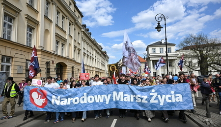 mid-26419260-2.jpg