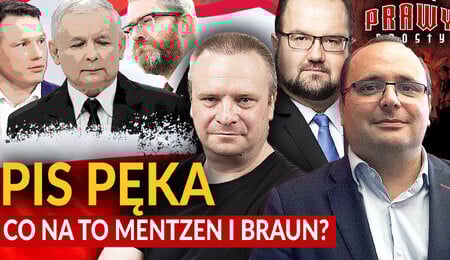 prawy-prosty_Palade-Warzecha-Karpiel-PiS-peka.jpg
