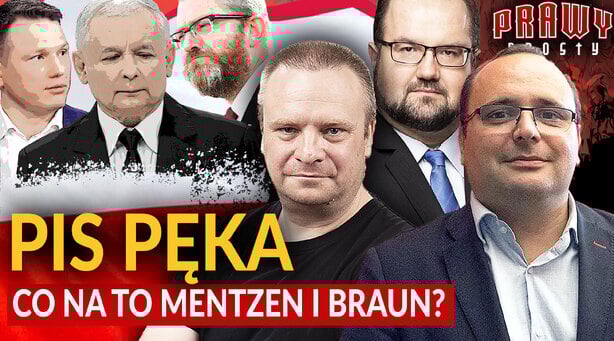 prawy-prosty_Palade-Warzecha-Karpiel-PiS-peka.jpg